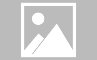 琼中山东网络网站搭建特点（山东网站建设app）